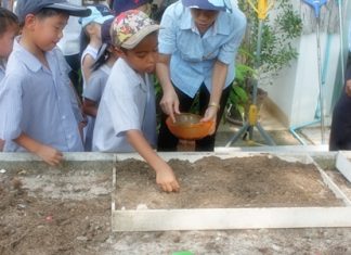 Alex learns to plant rice in our Thai lesson.